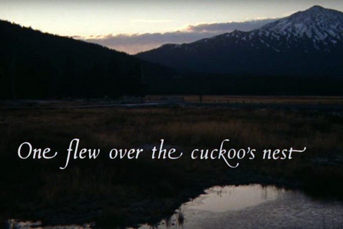 Alguien voló sobre el nido del cuco